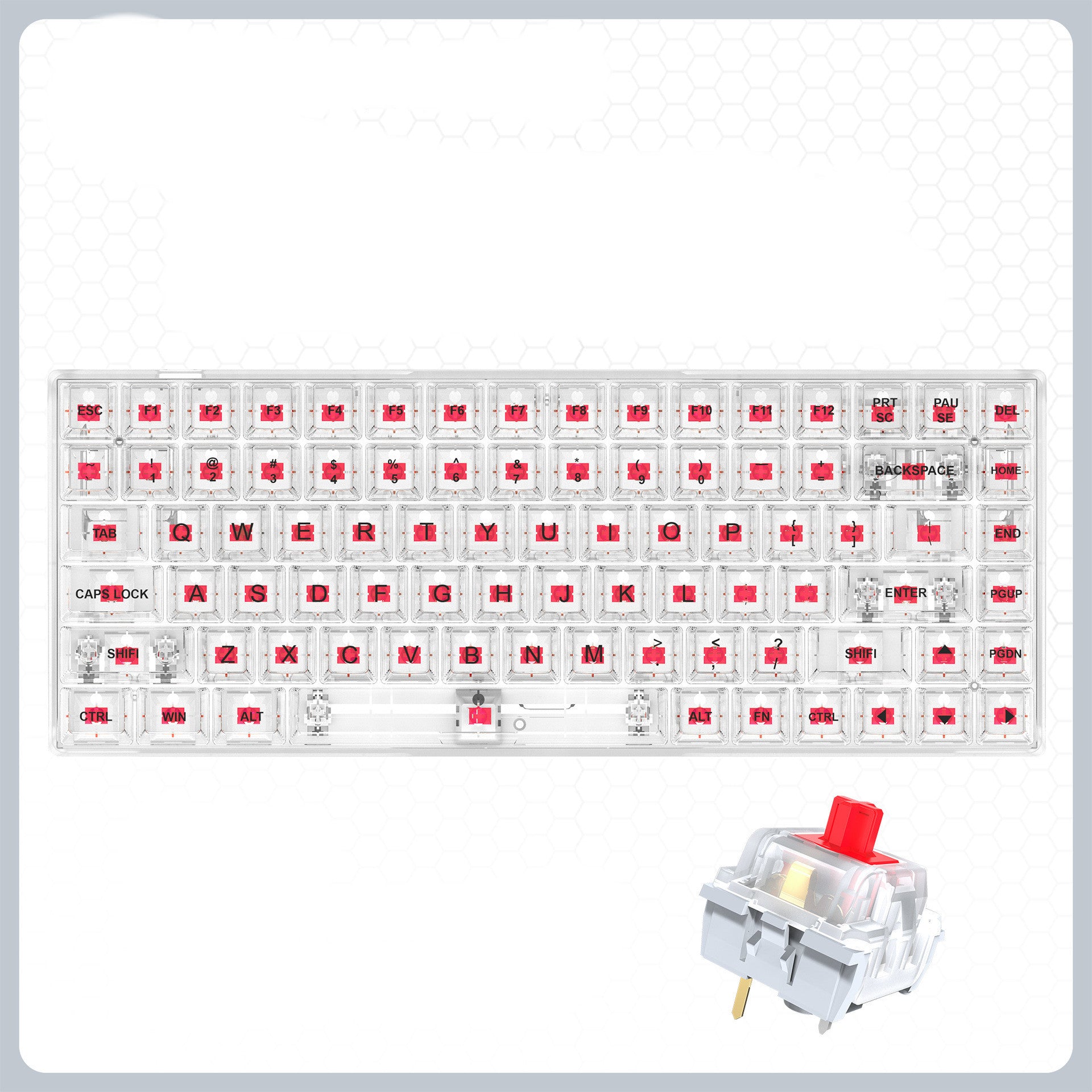 Transparent RGB Hot-Swappable Wired Mechanical Gaming Keyboard