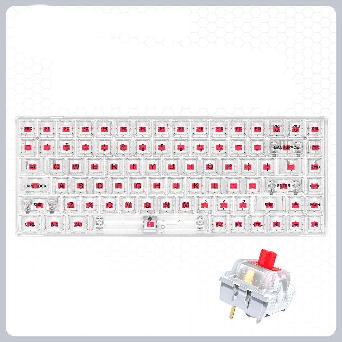 Transparent RGB Hot-Swappable Wired Mechanical Gaming Keyboard