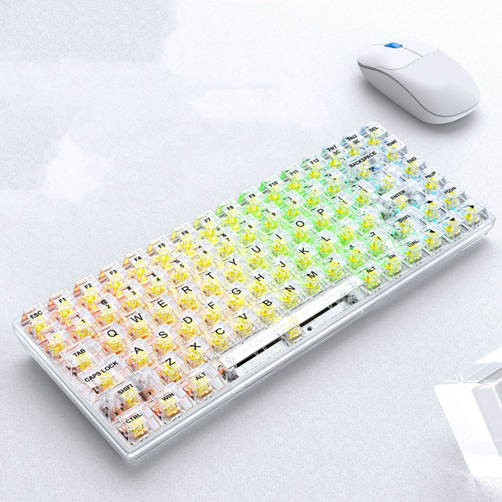 Transparent RGB Hot-Swappable Wired Mechanical Gaming Keyboard
